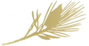 Pinewood Supper Club logo