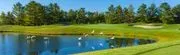 Charlevoix Country Club logo