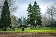 Rock Creek Country Club logo