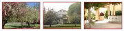 Shadow Lake Ranch image 2