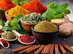 Special Medicine, Herbal & Wellness