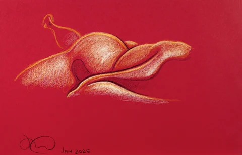 Lying-side figure, from-above view by Riley Adamson