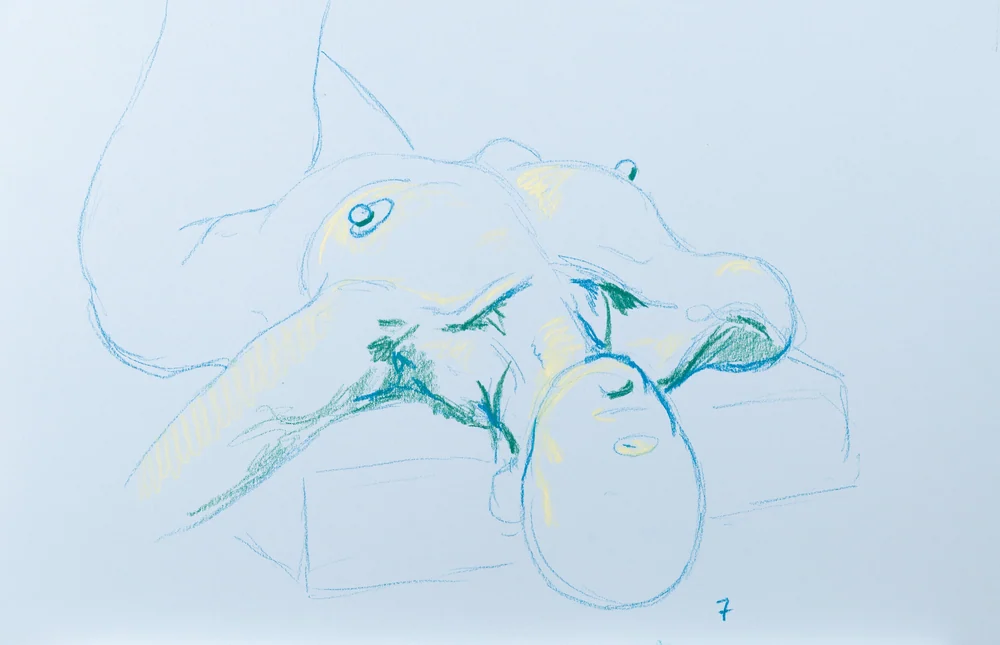 Figure drawing, from-above view by Riley Adamson