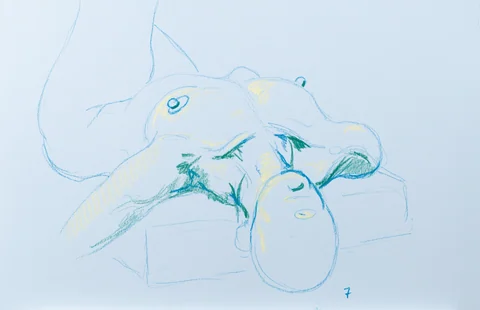 Figure drawing, from-above view
