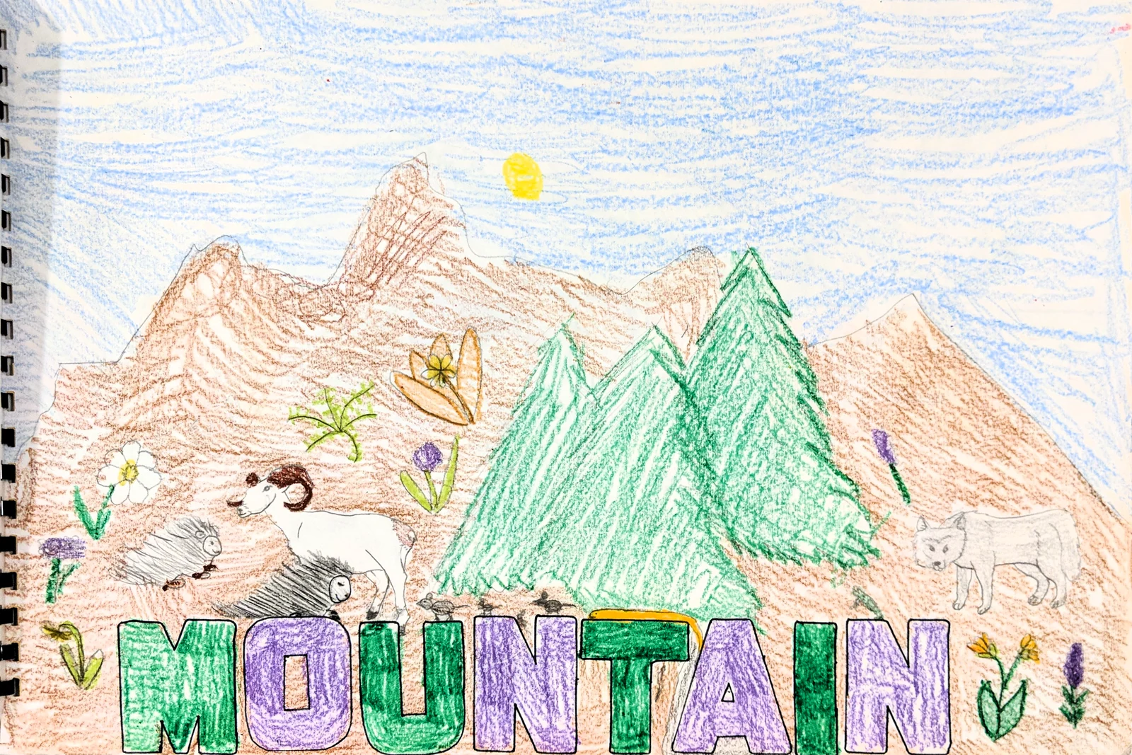 Landscape by Riley Adamson