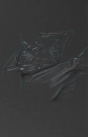 Figure drawing, side view by Riley Adamson