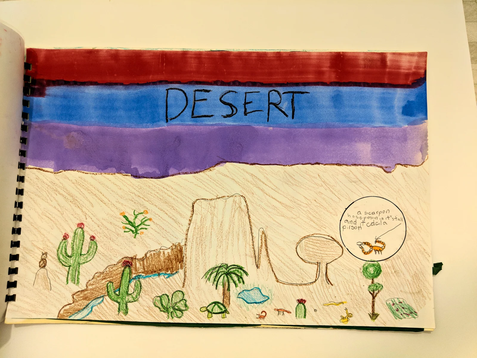 Landscape by Riley Adamson