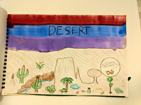 Landscape