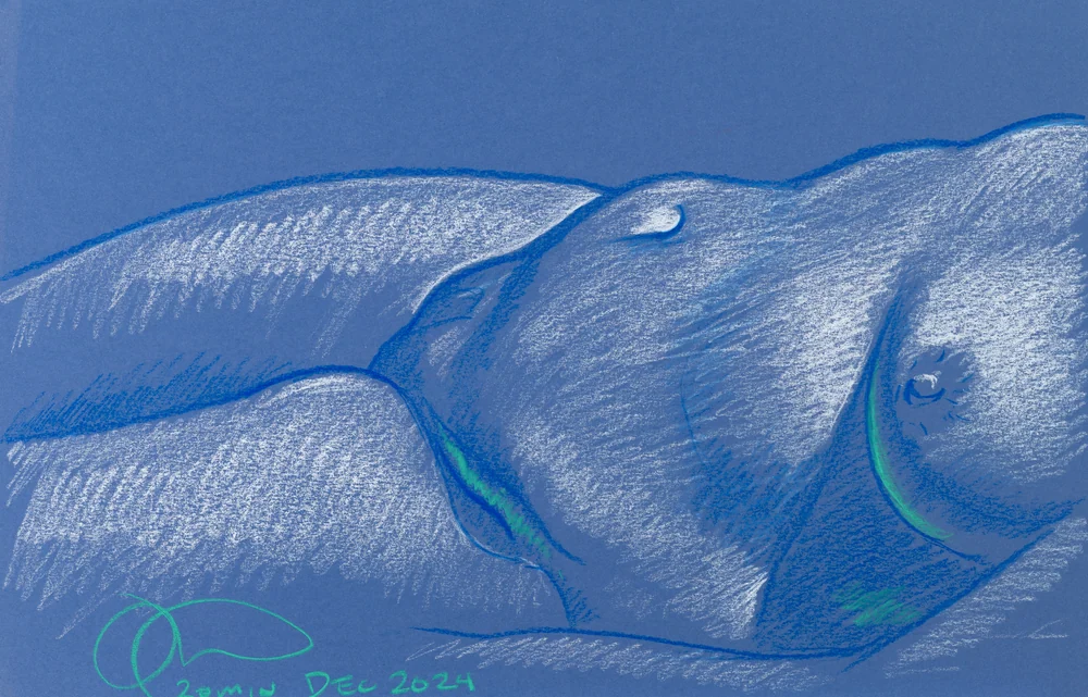 Lying-side figure, side view by Riley Adamson