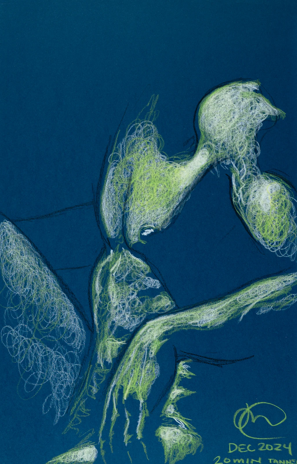 Figure drawing, side view by Riley Adamson