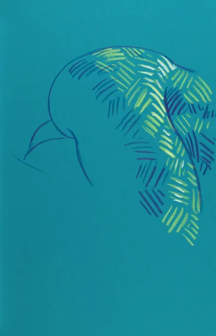 Figure drawing, front view