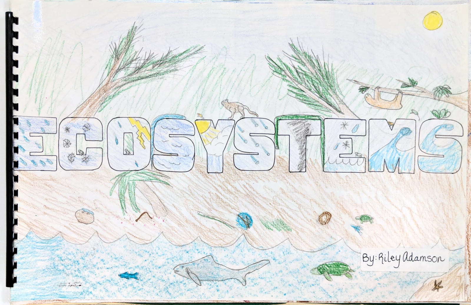 Landscape by Riley Adamson
