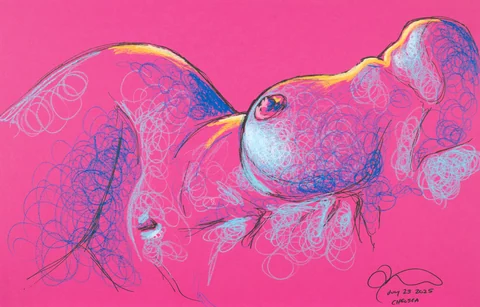 Lying-side figure