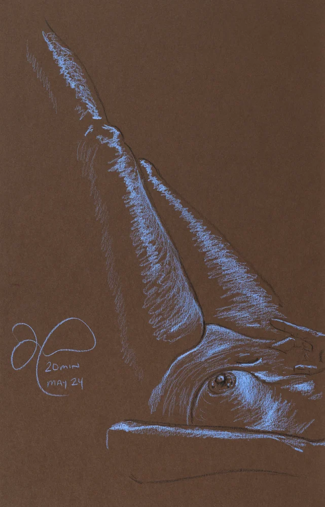 Lying-supine figure, side view by Riley Adamson