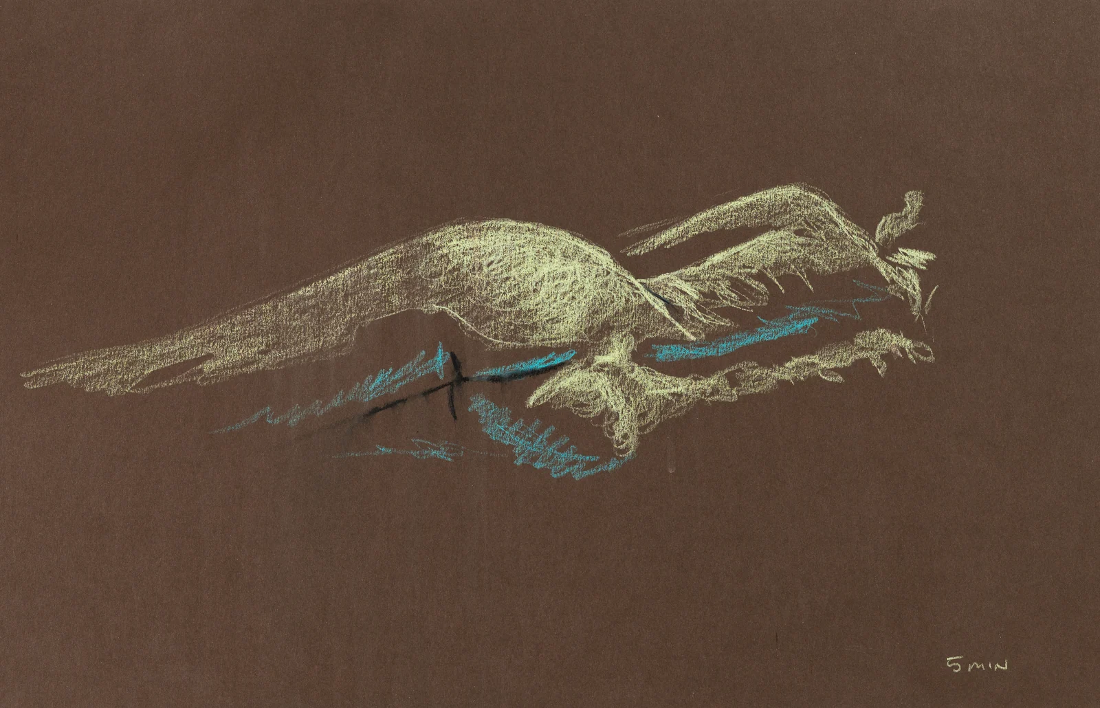 Lying-side figure, side view by Riley Adamson