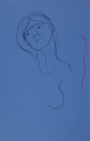 Figure drawing, front view