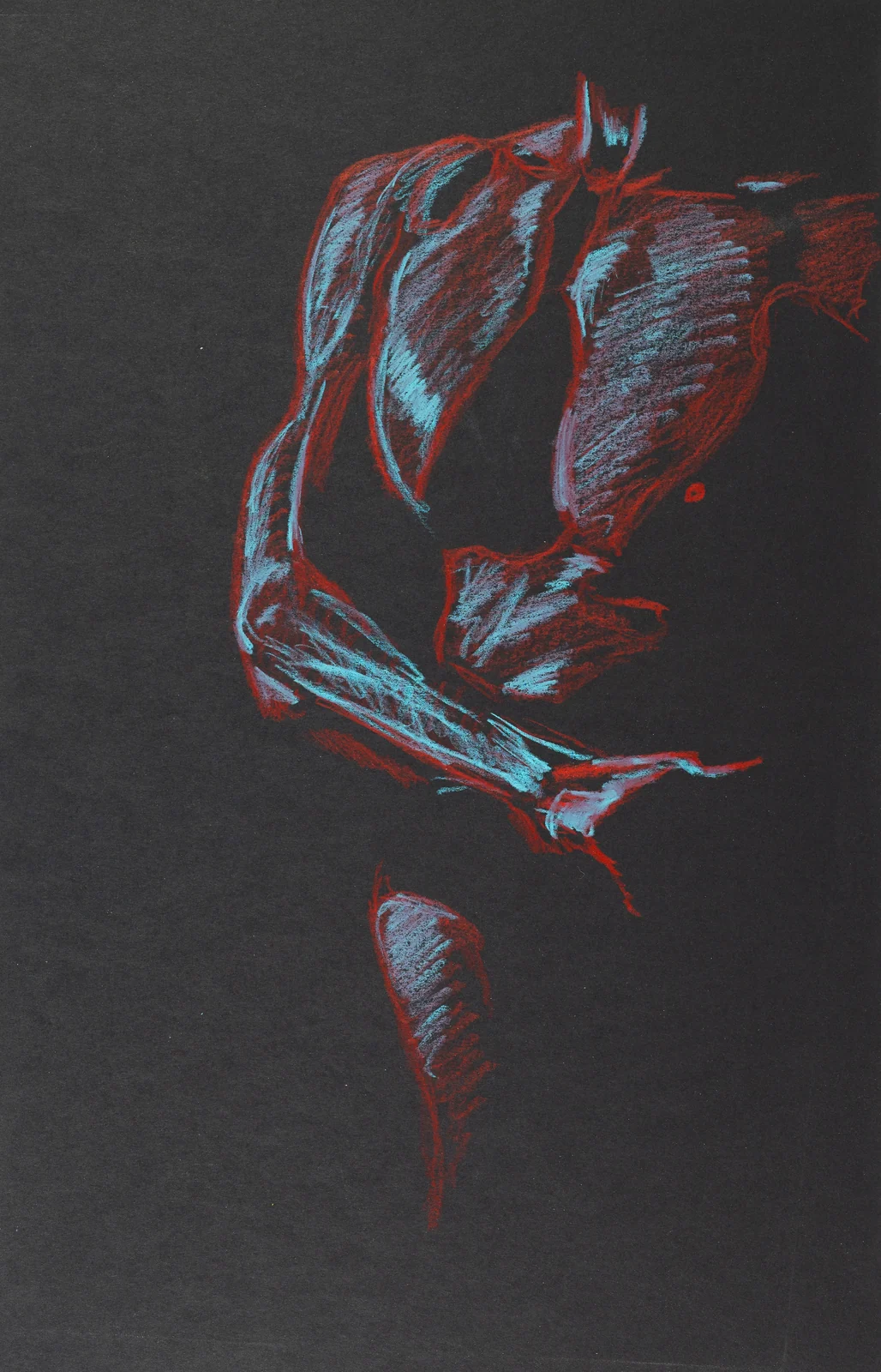 Figure drawing, front view by Riley Adamson