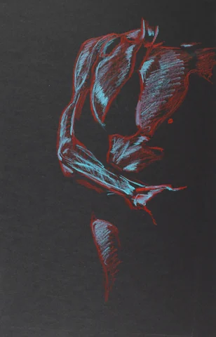 Figure drawing, front view