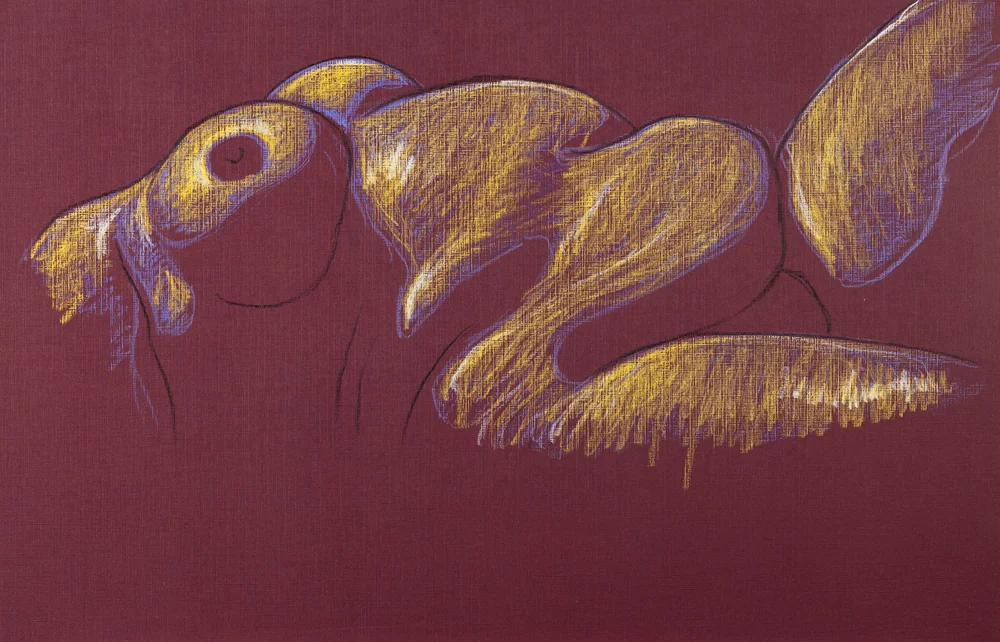 Lying-supine figure, side view by Riley Adamson