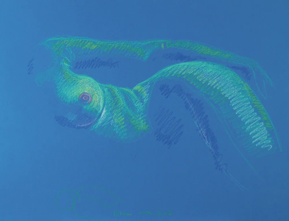Lying-side figure, side view by Riley Adamson