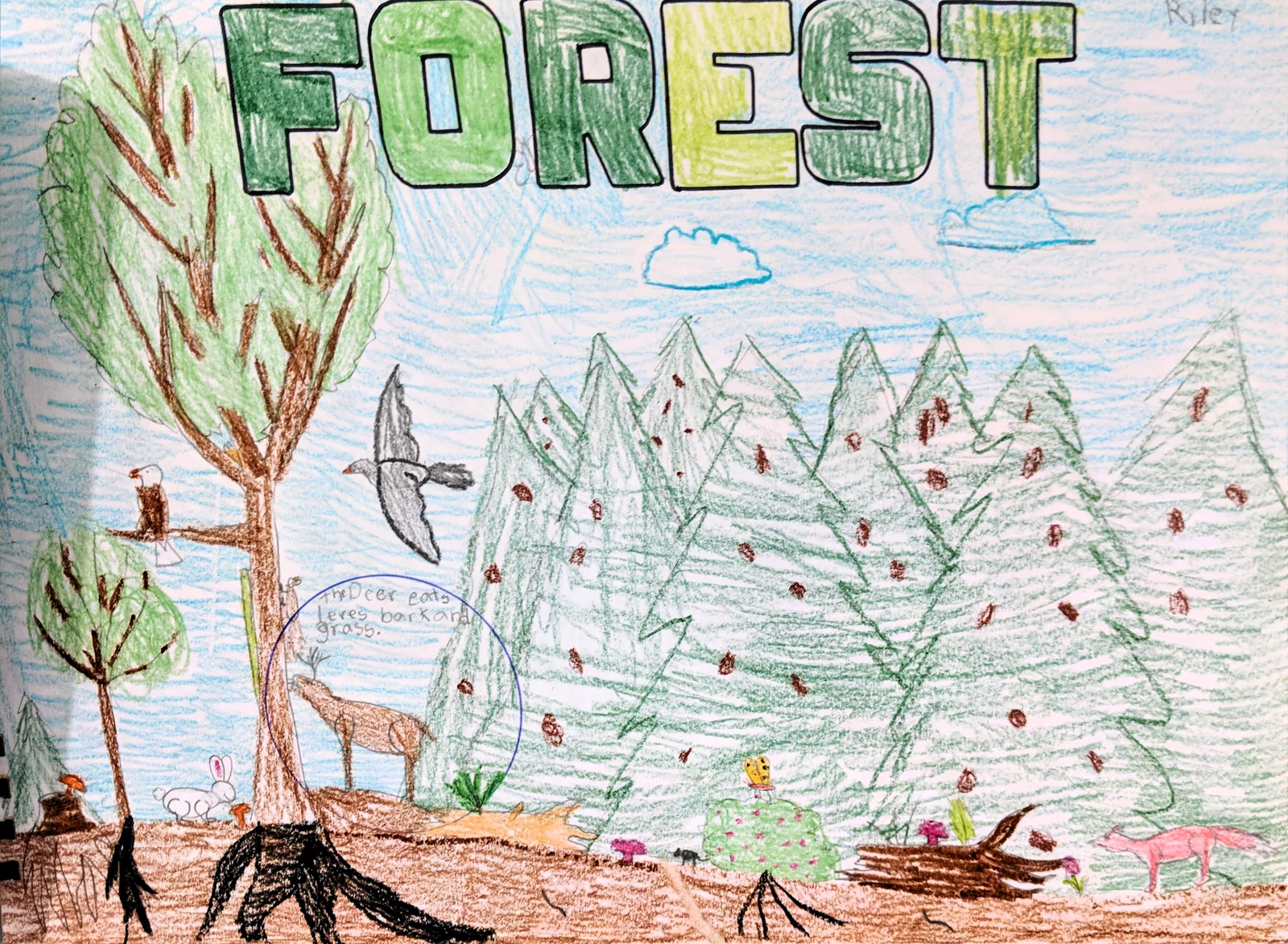 Landscape by Riley Adamson