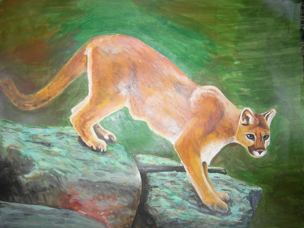 Cougar by Riley Adamson