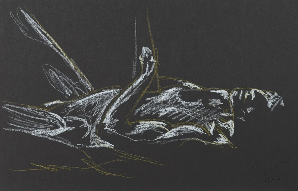 Lying-supine figure, side view by Riley Adamson