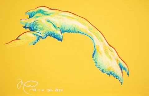 Figure drawing, side view
