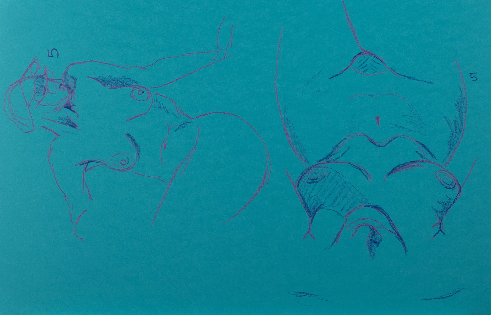 Gesture sheet, 2 poses by Riley Adamson