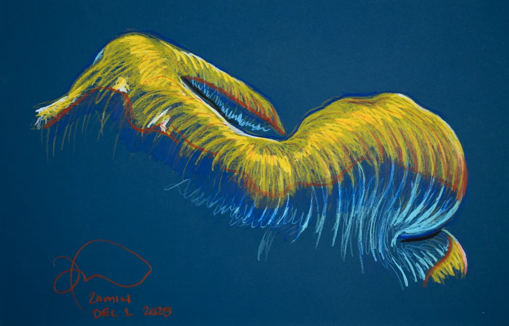 Lying-side figure, back view by Riley Adamson