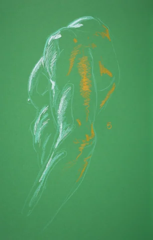 Figure drawing, side view by Riley Adamson