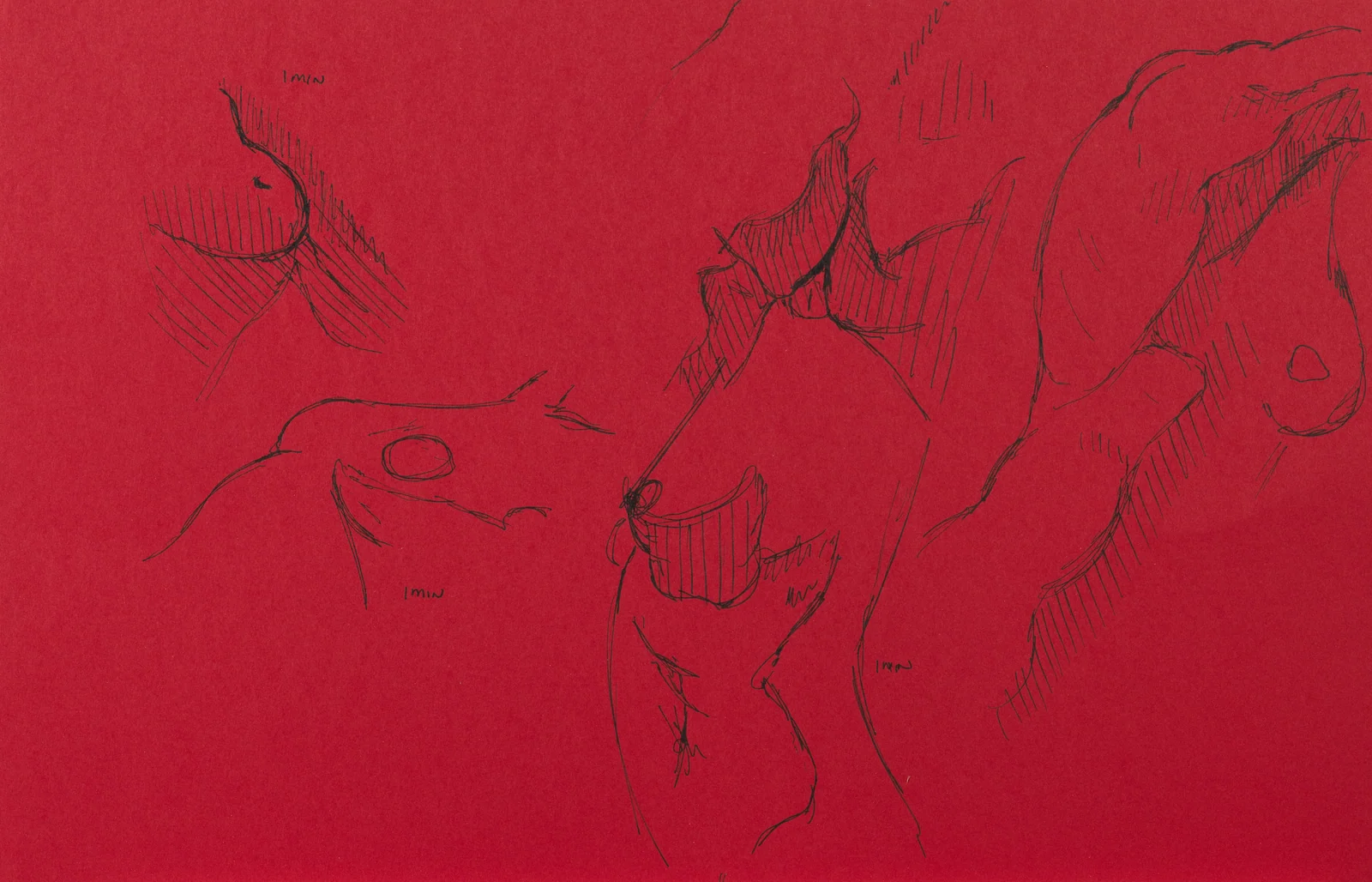 Gesture sheet, 4 poses by Riley Adamson