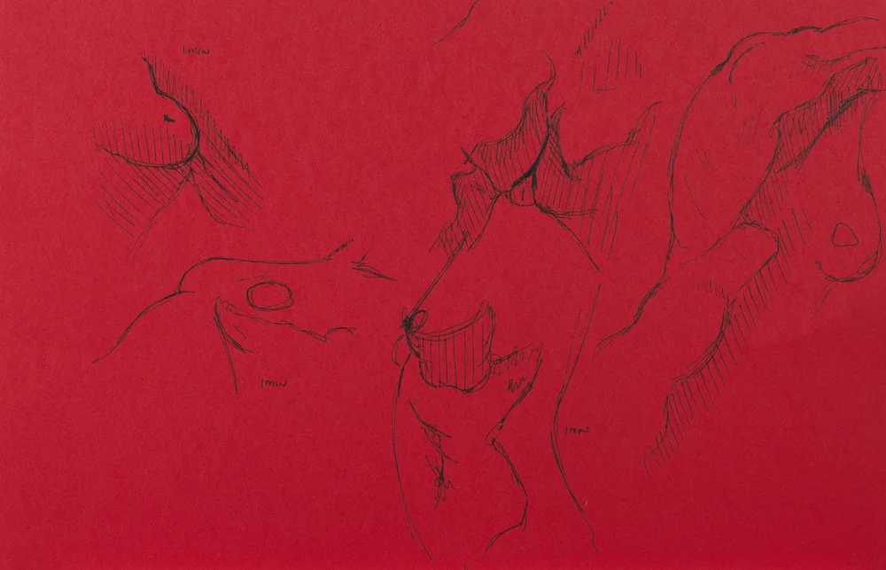 Gesture sheet, 4 poses by Riley Adamson
