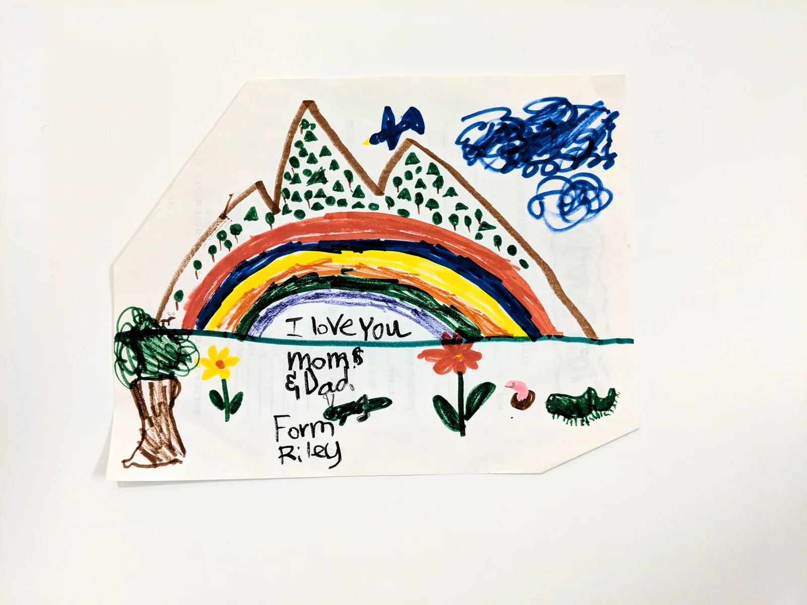 Landscape by Riley Adamson