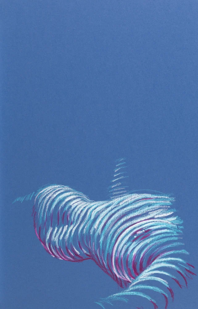 Lying-supine figure, from-above view by Riley Adamson