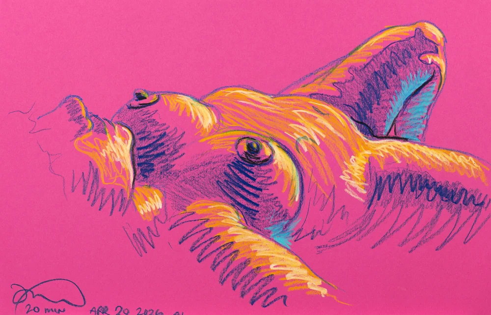 Lying-supine figure, side view by Riley Adamson