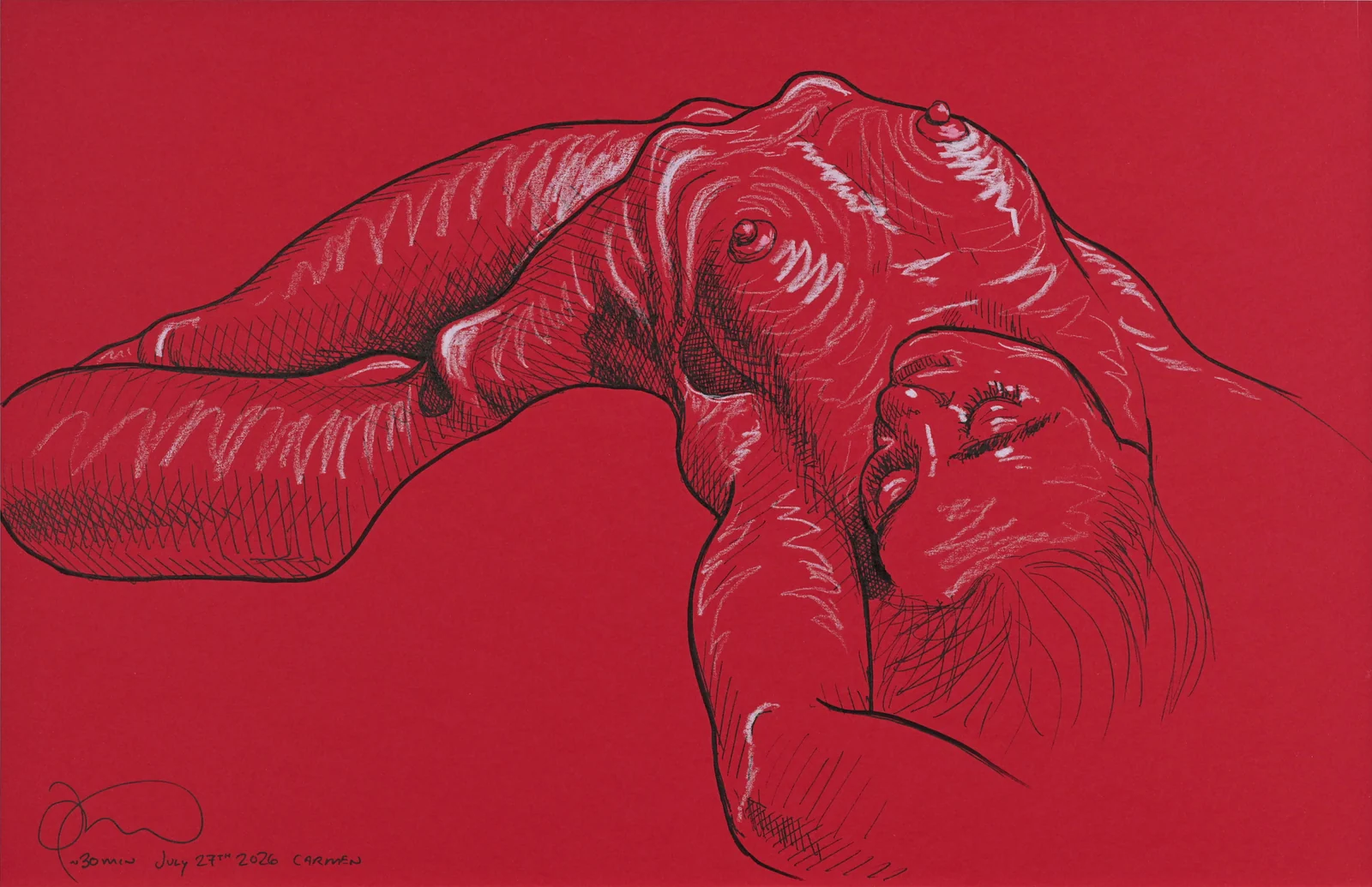 Lying-supine figure, front view by Riley Adamson