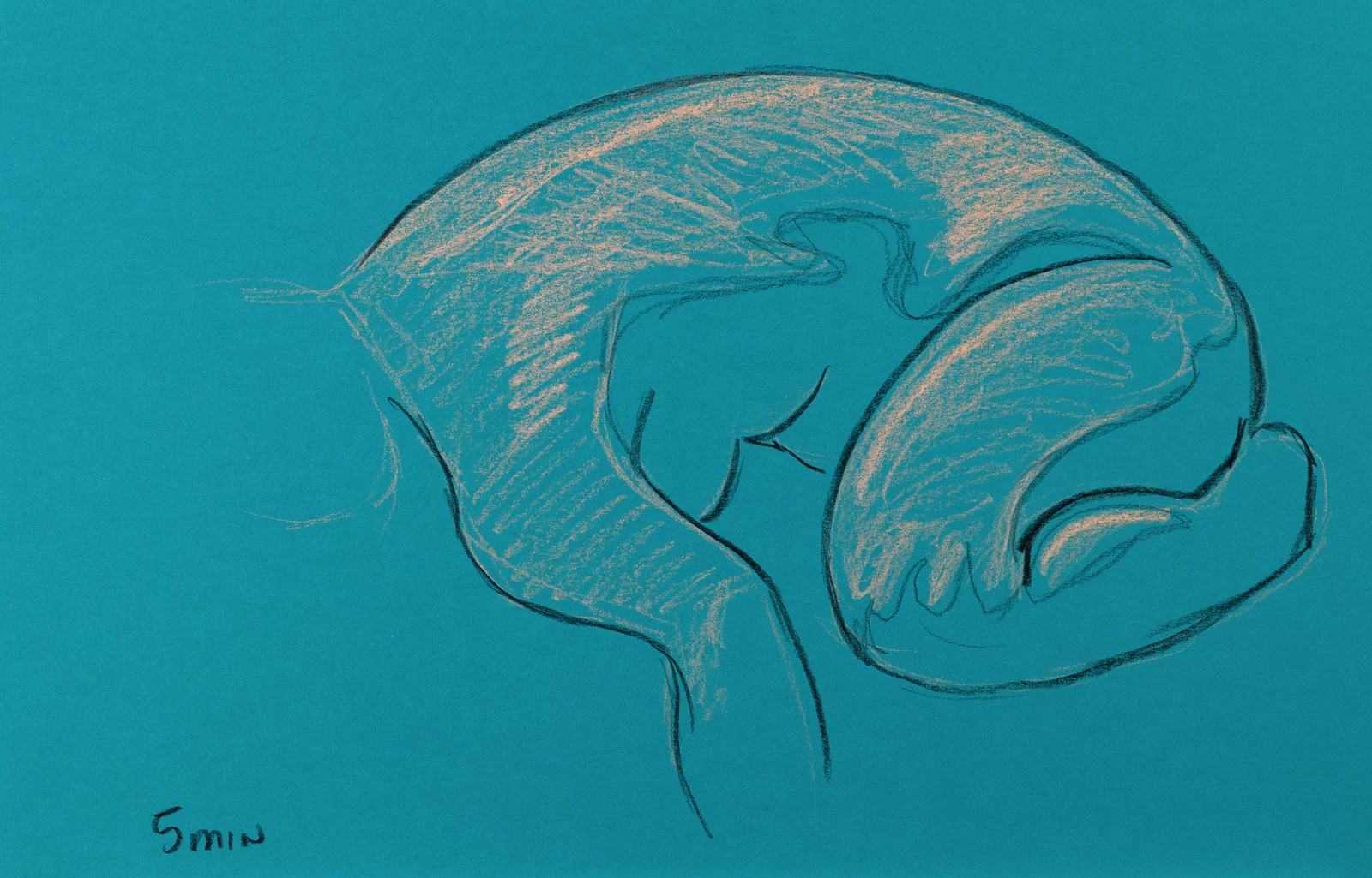 Figure drawing, side view by Riley Adamson