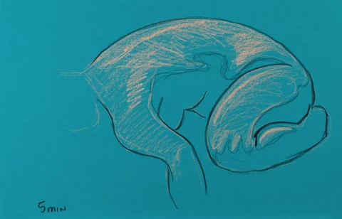 Figure drawing, side view