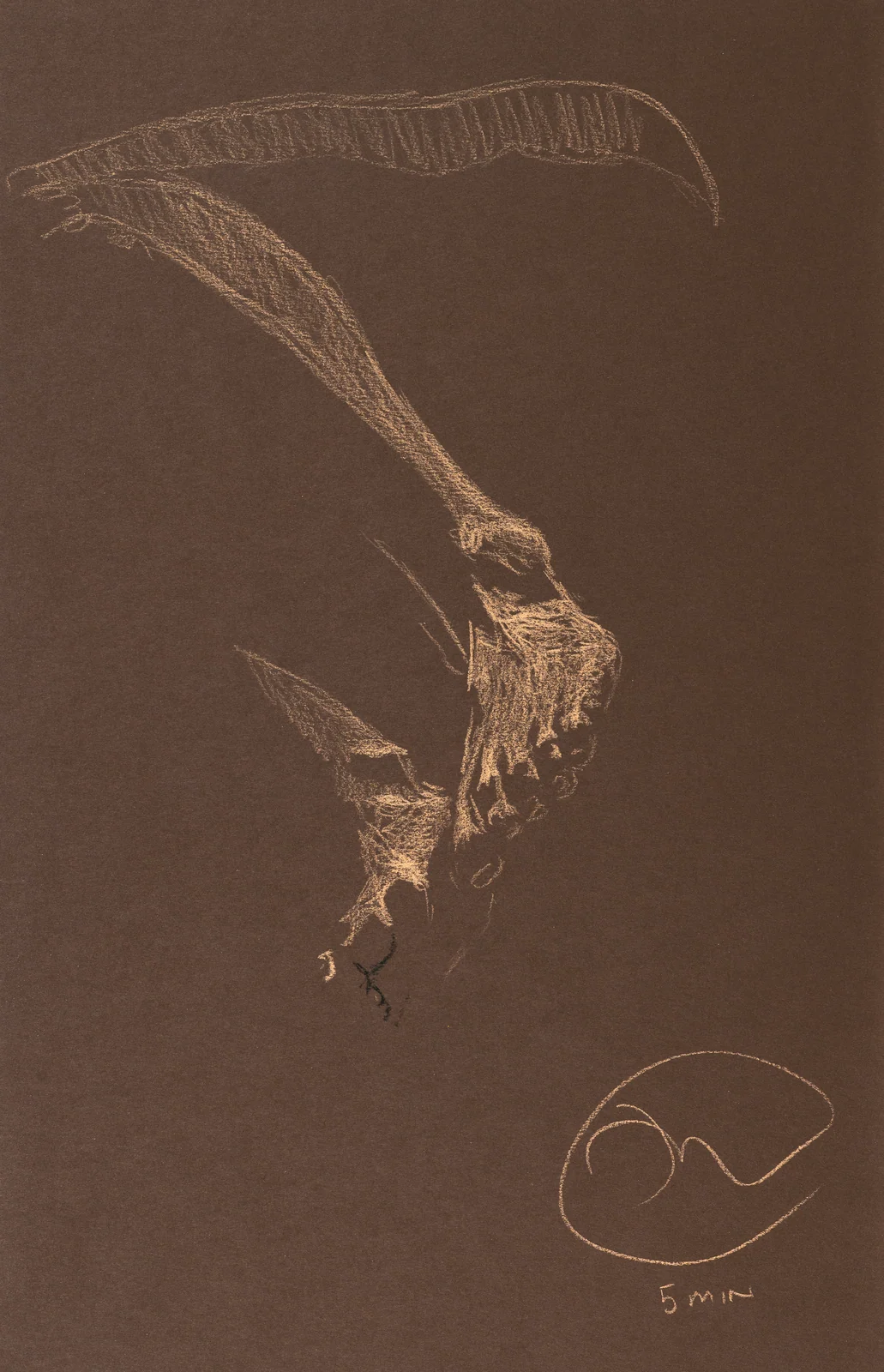Lying-side figure, from-below view by Riley Adamson