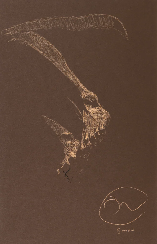 Lying-side figure, from-below view by Riley Adamson