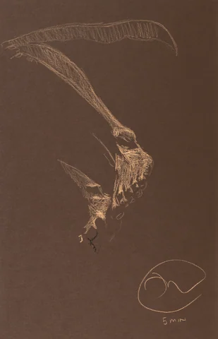 Lying-side figure, from-below view by Riley Adamson