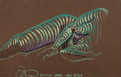 Lying-side figure