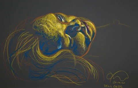 Figure drawing, from-above view