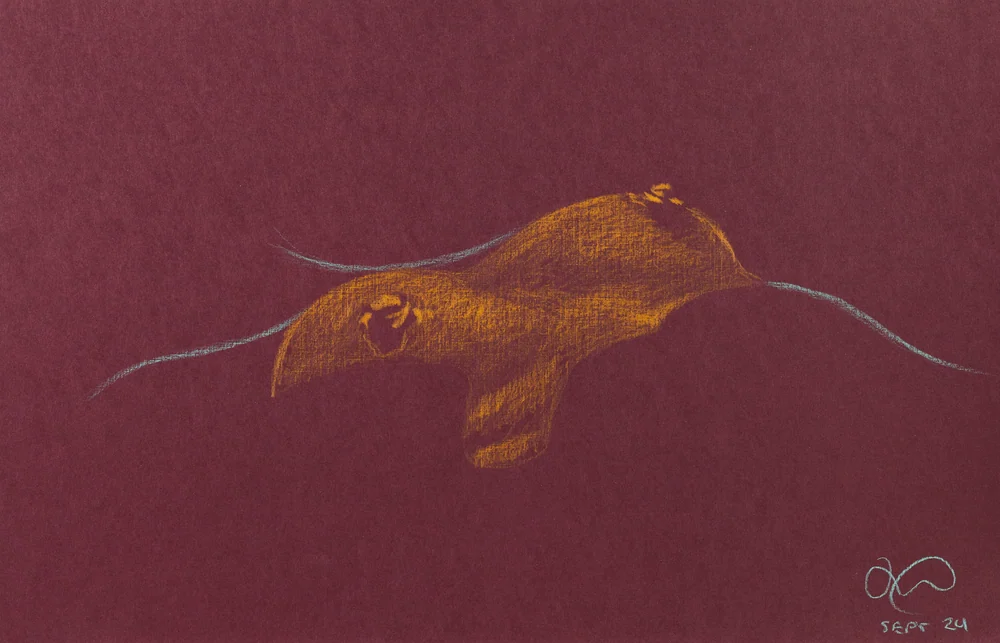 Lying-supine figure, side view by Riley Adamson