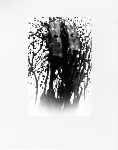 Alternate Processes by Riley Adamson
