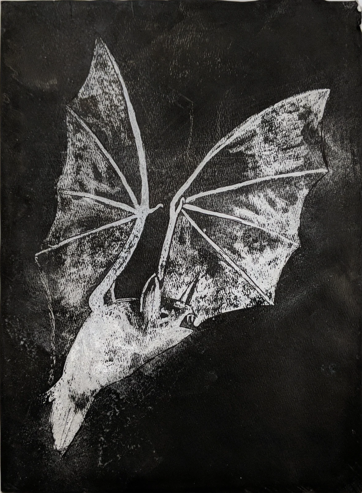 Untitled by Riley Adamson