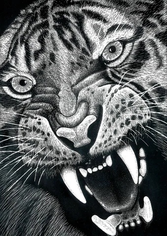 Tiger 2