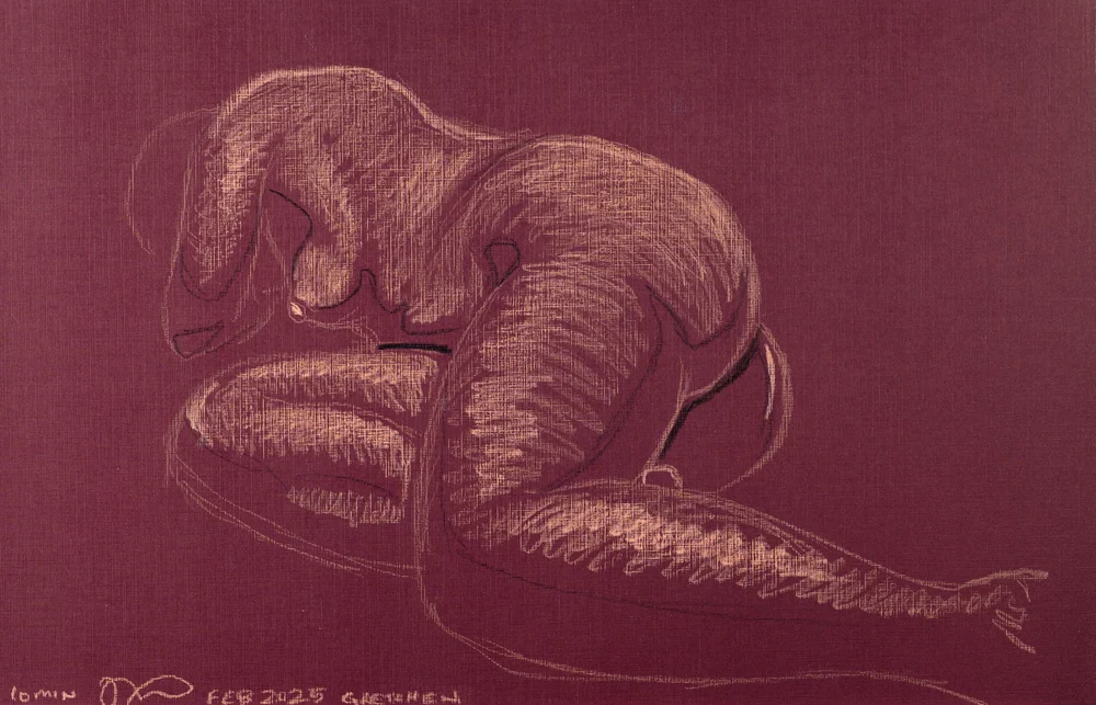 Figure drawing, side view by Riley Adamson