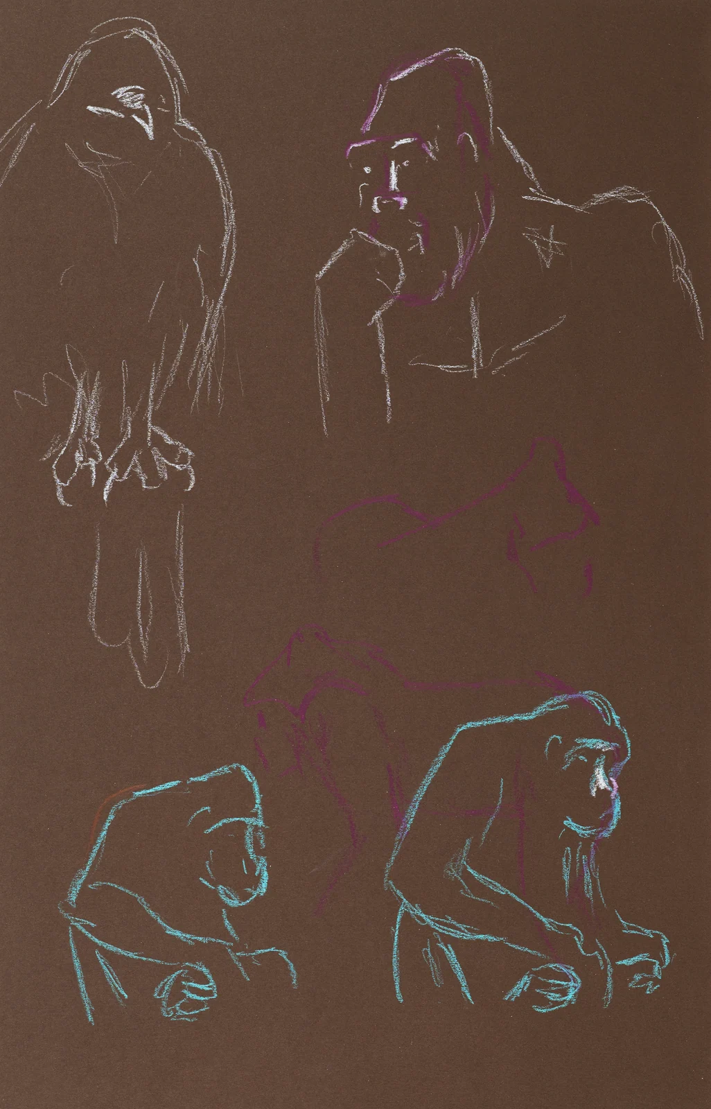 Gesture sheet, 5 poses by Riley Adamson